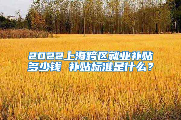 2022上?？鐓^(qū)就業(yè)補(bǔ)貼多少錢 補(bǔ)貼標(biāo)準(zhǔn)是什么？