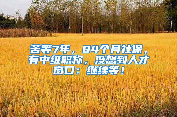 苦等7年，84個(gè)月社保，有中級(jí)職稱，沒想到人才窗口：繼續(xù)等！