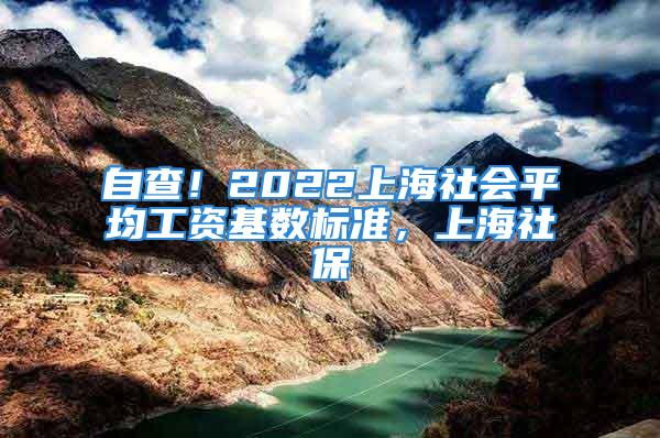 自查！2022上海社會平均工資基數(shù)標準，上海社保