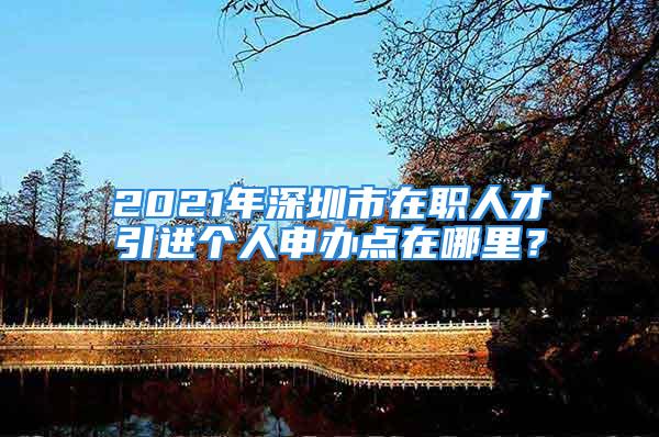 2021年深圳市在職人才引進(jìn)個(gè)人申辦點(diǎn)在哪里？