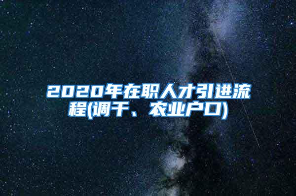 2020年在職人才引進(jìn)流程(調(diào)干、農(nóng)業(yè)戶口)