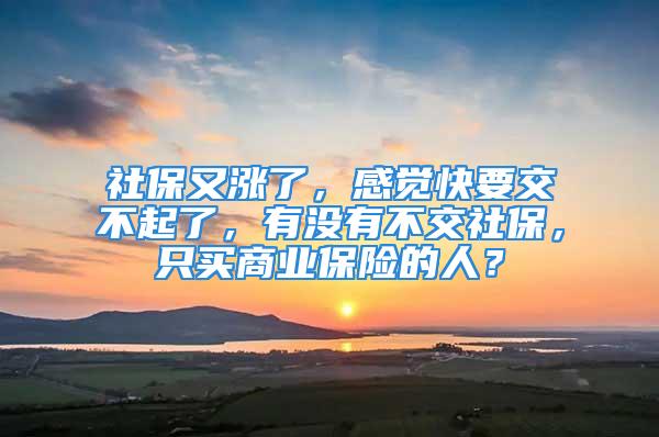 社保又漲了，感覺快要交不起了，有沒有不交社保，只買商業(yè)保險的人？