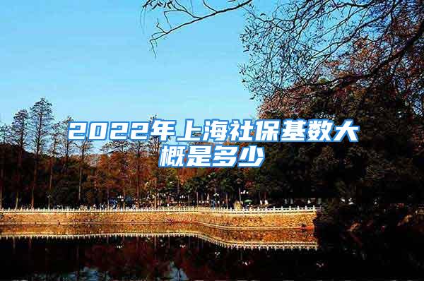 2022年上海社?；鶖?shù)大概是多少