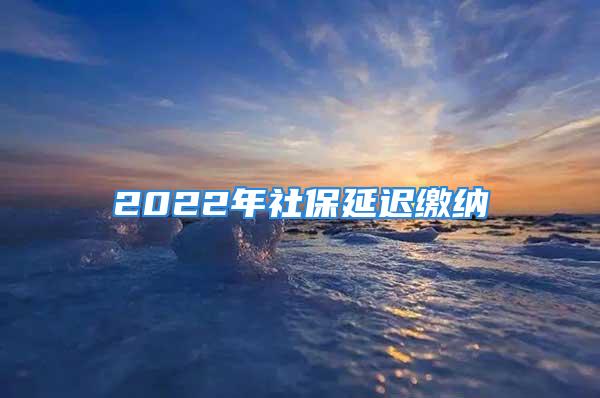 2022年社保延遲繳納