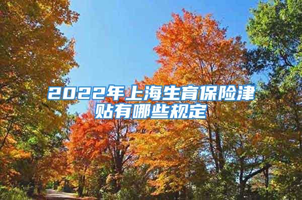 2022年上海生育保險(xiǎn)津貼有哪些規(guī)定