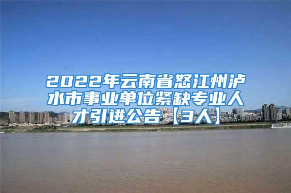 2022年云南省怒江州瀘水市事業(yè)單位緊缺專業(yè)人才引進公告【3人】