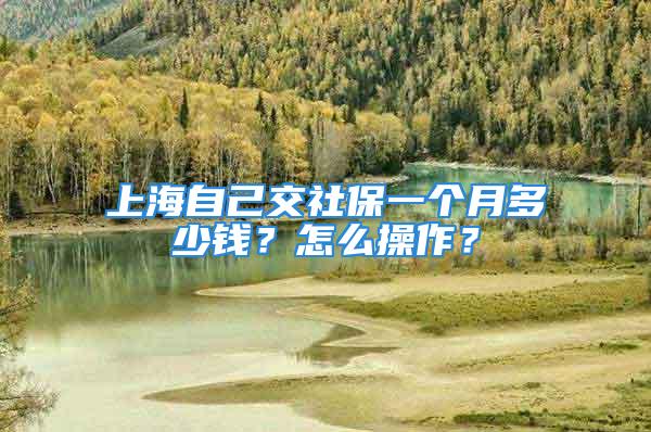 上海自己交社保一個(gè)月多少錢？怎么操作？