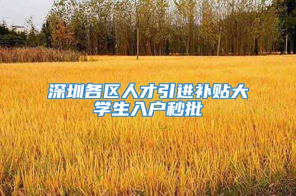 深圳各區(qū)人才引進補貼大學生入戶秒批