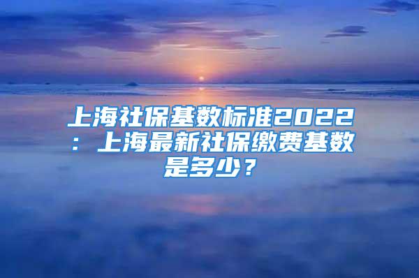 上海社?；鶖?shù)標(biāo)準(zhǔn)2022：上海最新社保繳費(fèi)基數(shù)是多少？