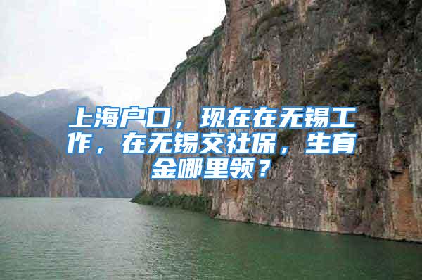 上海戶口，現(xiàn)在在無錫工作，在無錫交社保，生育金哪里領(lǐng)？