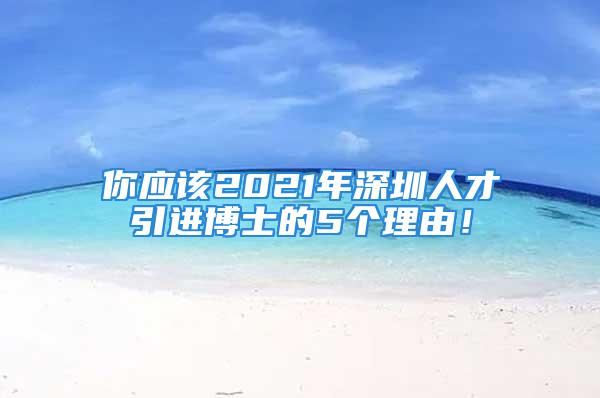 你應(yīng)該2021年深圳人才引進(jìn)博士的5個(gè)理由！