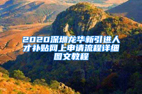 2020深圳龍華新引進(jìn)人才補(bǔ)貼網(wǎng)上申請(qǐng)流程詳細(xì)圖文教程