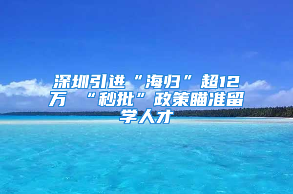 深圳引進“海歸”超12萬 “秒批”政策瞄準(zhǔn)留學(xué)人才