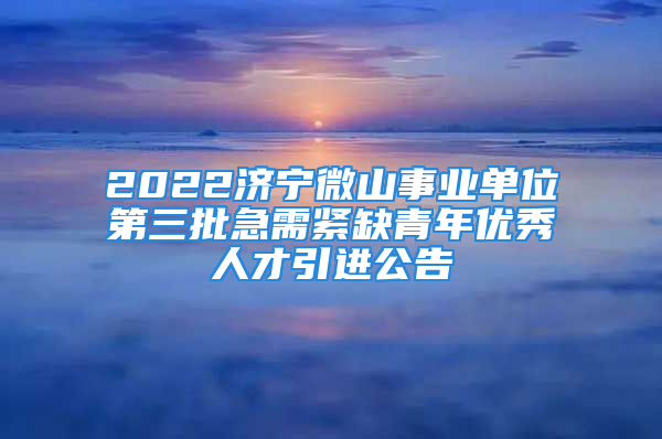 2022濟寧微山事業(yè)單位第三批急需緊缺青年優(yōu)秀人才引進公告