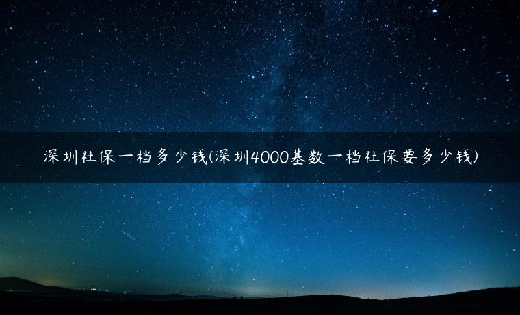 深圳社保一檔多少錢(深圳4000基數(shù)一檔社保要多少錢)