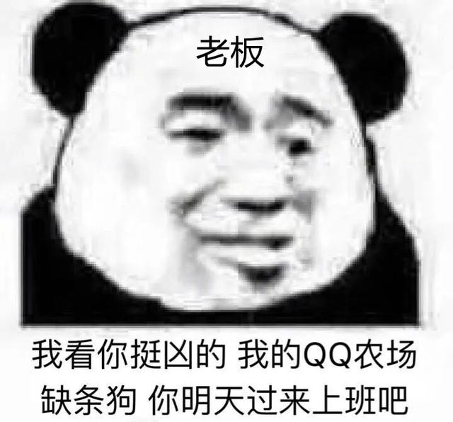 離職了自己怎么交社保