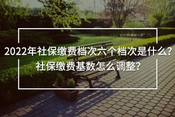 2022年社保繳費(fèi)檔次六個(gè)檔次