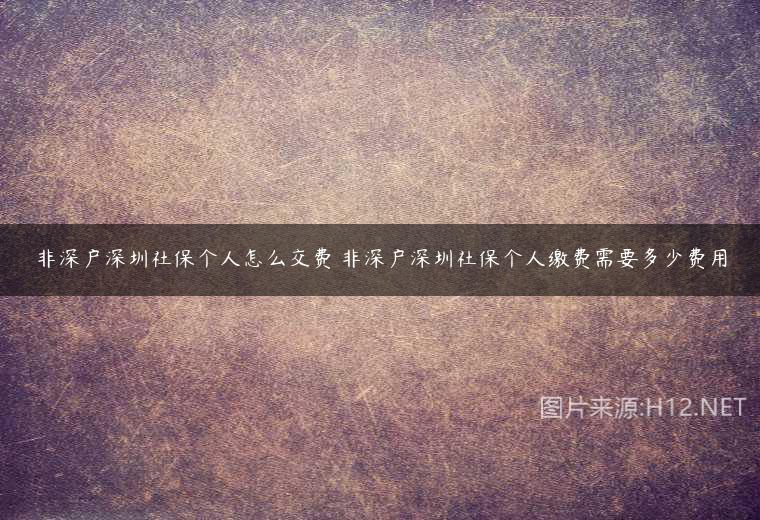 非深戶深圳社保個人怎么交費 非深戶深圳社保個人繳費需要多少費用