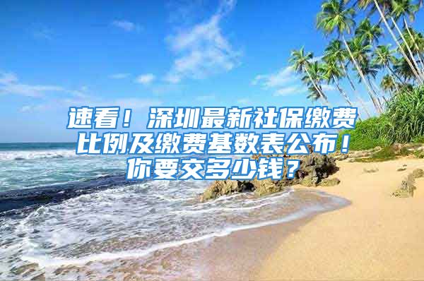 速看！深圳最新社保繳費比例及繳費基數(shù)表公布！你要交多少錢？