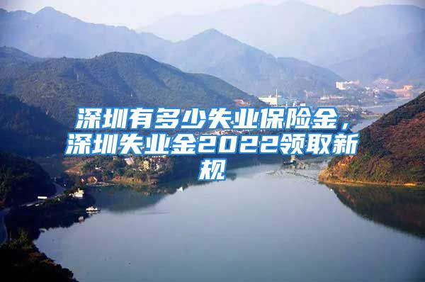 深圳有多少失業(yè)保險金，深圳失業(yè)金2022領取新規(guī)