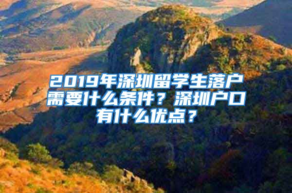 2019年深圳留學(xué)生落戶需要什么條件？深圳戶口有什么優(yōu)點(diǎn)？