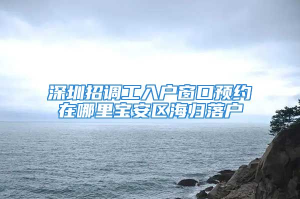 深圳招調(diào)工入戶窗口預約在哪里寶安區(qū)海歸落戶