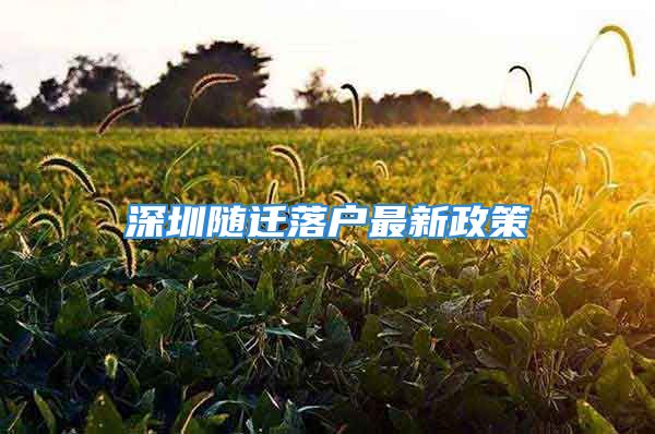 深圳隨遷落戶最新政策