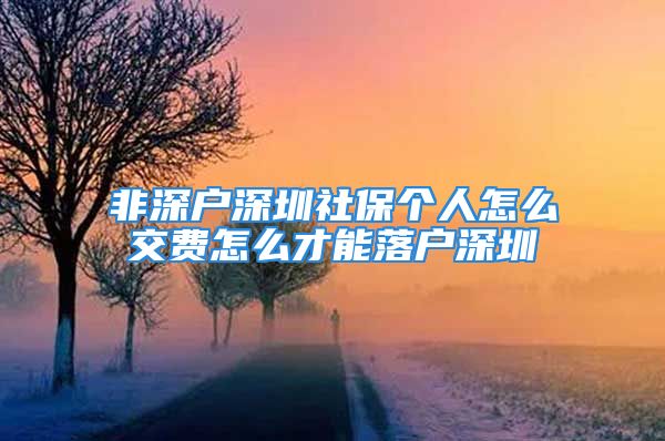 非深戶深圳社保個(gè)人怎么交費(fèi)怎么才能落戶深圳