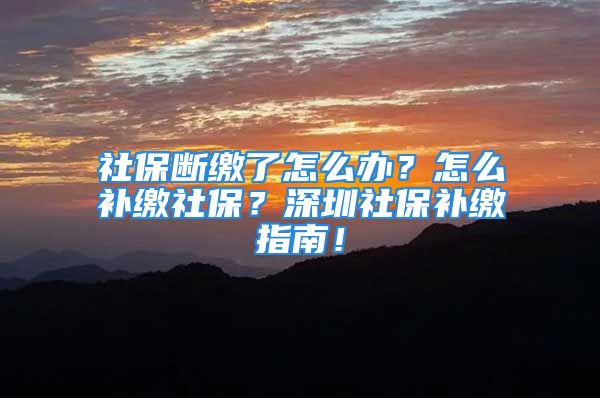 社保斷繳了怎么辦？怎么補繳社保？深圳社保補繳指南！