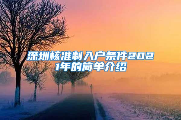 深圳核準制入戶條件2021年的簡單介紹