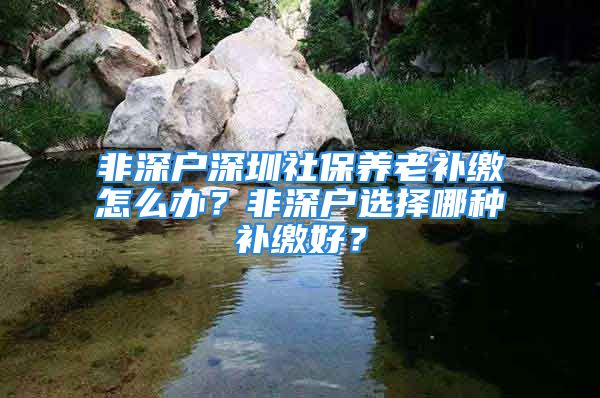 非深戶深圳社保養(yǎng)老補(bǔ)繳怎么辦？非深戶選擇哪種補(bǔ)繳好？