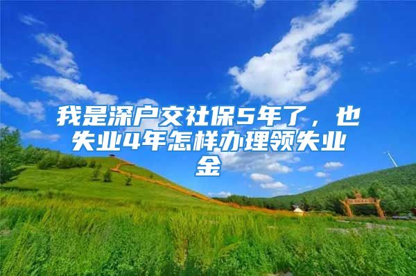 我是深戶交社保5年了，也失業(yè)4年怎樣辦理領(lǐng)失業(yè)金