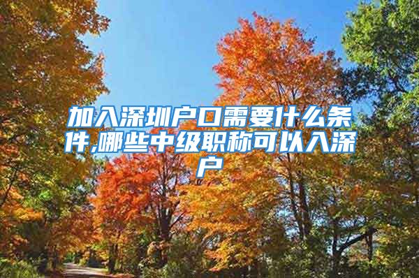 加入深圳戶口需要什么條件,哪些中級(jí)職稱可以入深戶