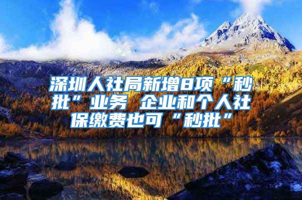 深圳人社局新增8項(xiàng)“秒批”業(yè)務(wù) 企業(yè)和個(gè)人社保繳費(fèi)也可“秒批”