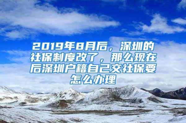 2019年8月后，深圳的社保制度改了，那么現(xiàn)在后深圳戶籍自己交社保要怎么辦理