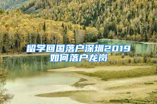 留學(xué)回國(guó)落戶深圳2019如何落戶龍崗