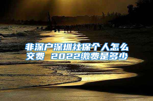 非深戶深圳社保個人怎么交費 2022繳費是多少