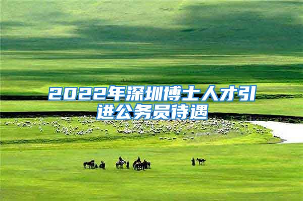 2022年深圳博士人才引進(jìn)公務(wù)員待遇