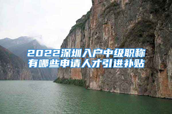 2022深圳入戶中級職稱有哪些申請人才引進(jìn)補(bǔ)貼