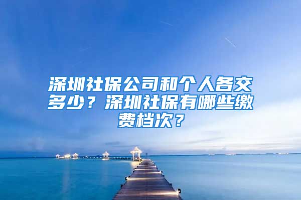 深圳社保公司和個人各交多少？深圳社保有哪些繳費檔次？