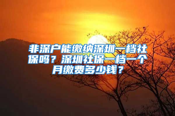 非深戶能繳納深圳一檔社保嗎？深圳社保一檔一個月繳費多少錢？