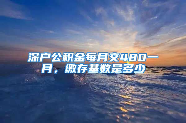 深戶公積金每月交480一月，繳存基數(shù)是多少