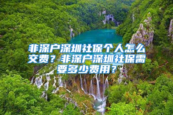 非深戶深圳社保個人怎么交費？非深戶深圳社保需要多少費用？