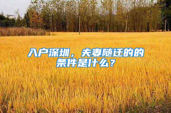 入戶深圳，夫妻隨遷的的條件是什么？