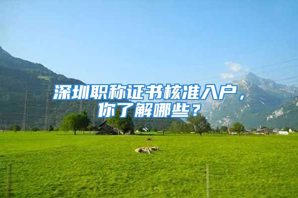 深圳職稱證書核準(zhǔn)入戶，你了解哪些？