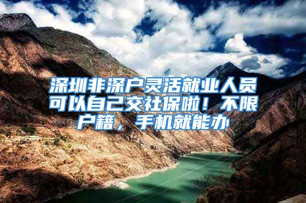 深圳非深戶靈活就業(yè)人員可以自己交社保啦！不限戶籍，手機(jī)就能辦