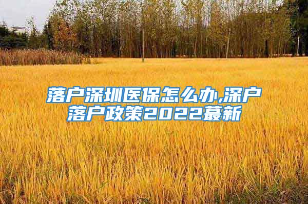 落戶深圳醫(yī)保怎么辦,深戶落戶政策2022蕞新