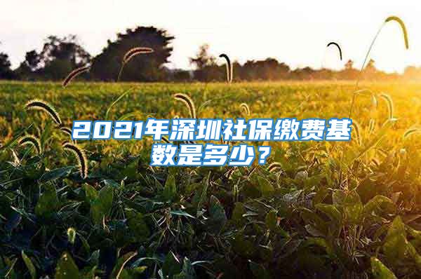 2021年深圳社保繳費(fèi)基數(shù)是多少？