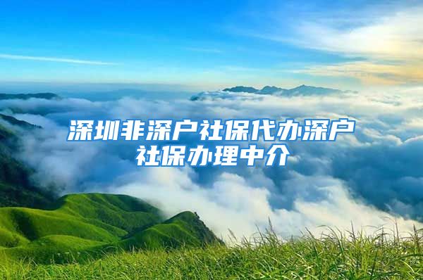 深圳非深戶(hù)社保代辦深戶(hù)社保辦理中介