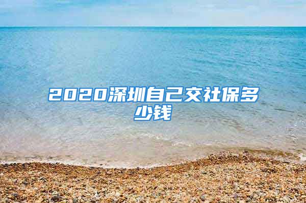 2020深圳自己交社保多少錢